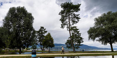 Das Mordopfer wurde am Ufer des Neuenburgersees bei Yverdons-les-Bains VD im Schilf versteckt aufgefunden.