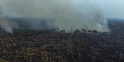Durch Brände ist in Brasilien im vergangenen Monat fast doppelt so viel Fläche verwüstet worden wie im November 2021. Es seien im November 775'000 Hektar Wald und Land verbrannt. (Archivbild)