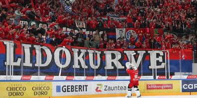 Erfolgreiche Statistiken zur Natipause bei den SCRJ Lakers.