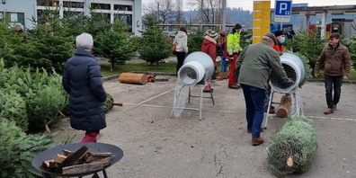 Im Angebot stehen einheimische Bäume aus eigenen und benachbarten Kulturen.