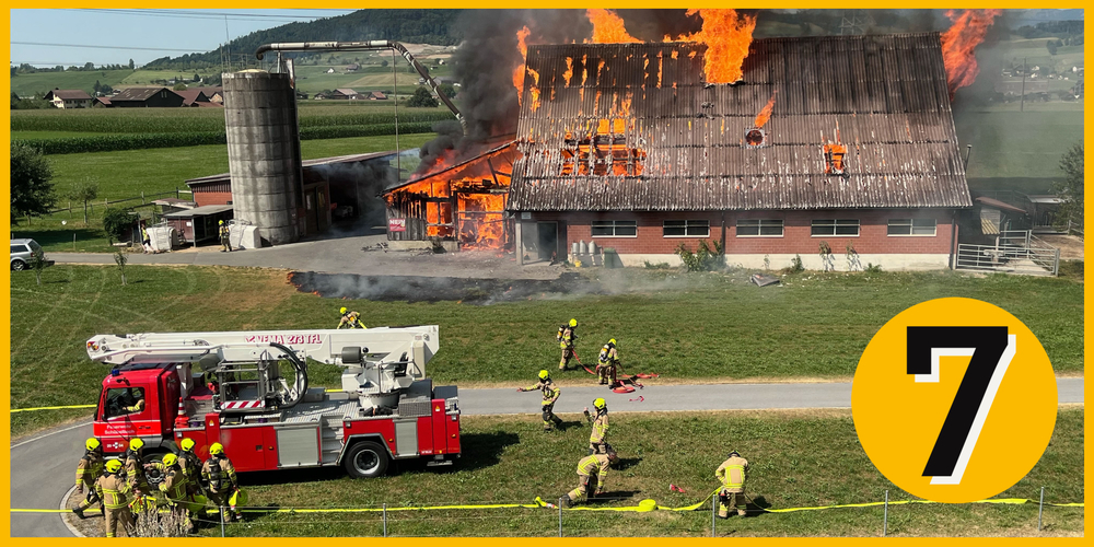 In Siebnen brennt ein Stall lichterloh. Die Feuerwehr kann das Gebäude nicht retten, dafür bleiben alle Tiere unverletzt.