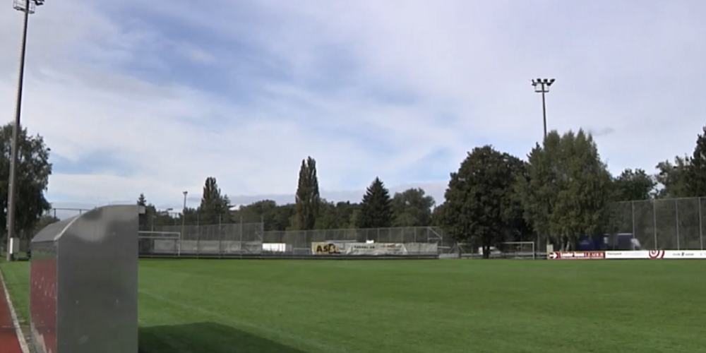 Viele offene Fragen auf der Rheinau.