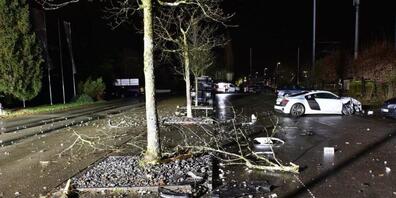 In Nänikon prallte das Auto des 19-Jährigen in drei Bäume.
