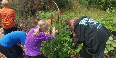 Naturparkschulen setzen im Schuljahr 2021/22 über 50 Projekte um.