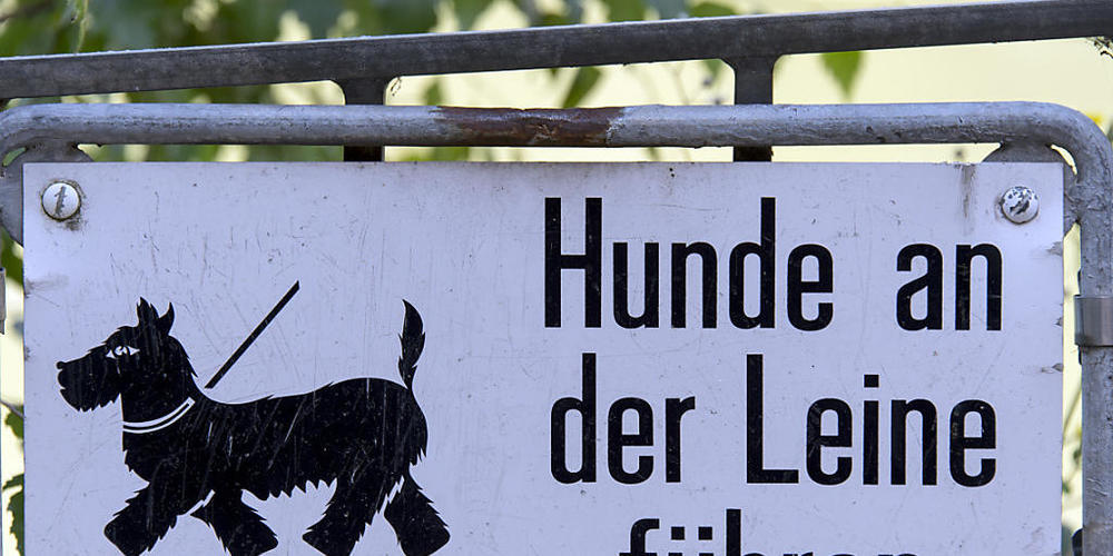 Mit dem neuen Jagdgesetz gilt vom 1. April bis 31. Juli Leinenpflicht im Wald und am Waldrand. (Symbolbild)