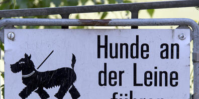Mit dem neuen Jagdgesetz gilt vom 1. April bis 31. Juli Leinenpflicht im Wald und am Waldrand. (Symbolbild)