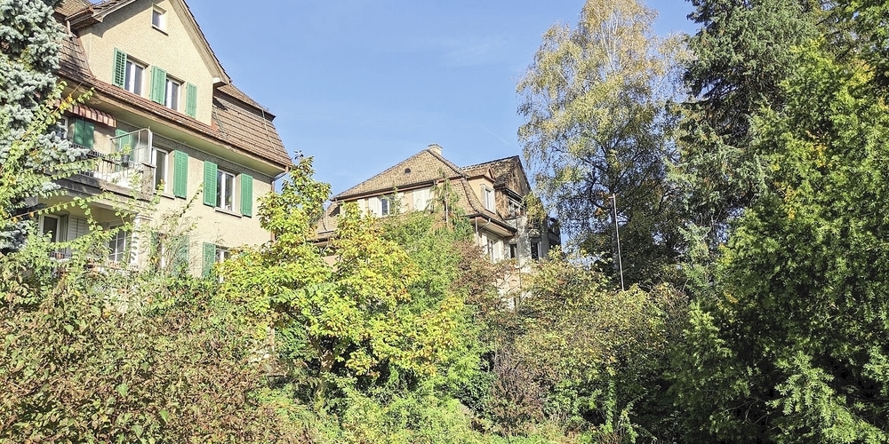 Dieser Miniwald unterhalb der beiden Wohnhäuser soll wegkommen. Die Nachbarschaftsinitiative Buchegg will sich für den Erhalt einsetzen. Man sei nicht gegen Neubauten, aber nicht so radikal.