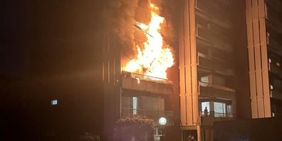 Die Brandursache ist derzeit noch unbekannt.