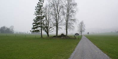 Die Bibitonstrasse in der Linthebene. 