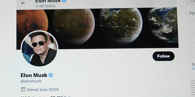 Der neue Twitter-Chef Elon Musk sorgt beim Sozialen Netzwerk für viel Wirbel.