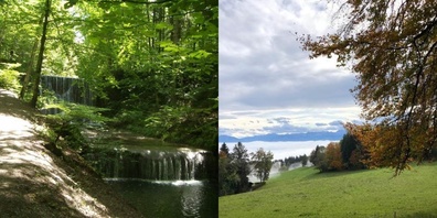 Der tangierte Wanderweg gehört zur Wanderwegroute «Forch Bahnhof – Zürich Burgwies». (Symbolbild)