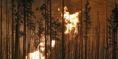 Im Norden von St. Petersburg hat die Explosion einer Gaspipeline ein Großfeuer ausgelöst. Foto: Dmitri Lovetsky/AP/dpa