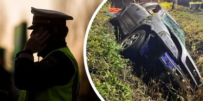 Das verunfallte Auto landete im Graben