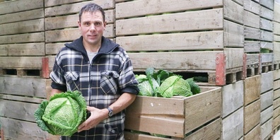 Martin Krucker steht vor 6 Tonnen Wirz, den er nicht verkaufen kann. Der Grund? Er ist zu gross.
