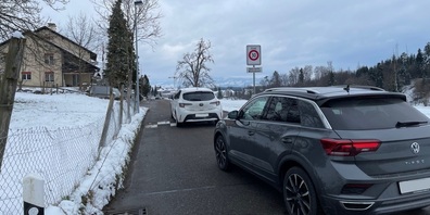Die Langweidstrasse zählt gemäss einer Messung im Jahr 2021 wochentags rund 2000 Fahrten.