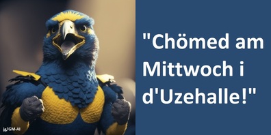 Die Hawks brauchen jetzt die Unterstützung von den Rängen.