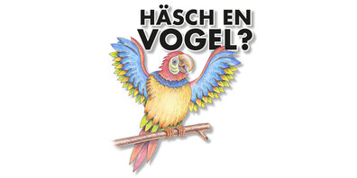 Die Theatergruppe Amaryllis gastiert mit der Komödie «Häsch en Vogel» im Gemeindesaal.