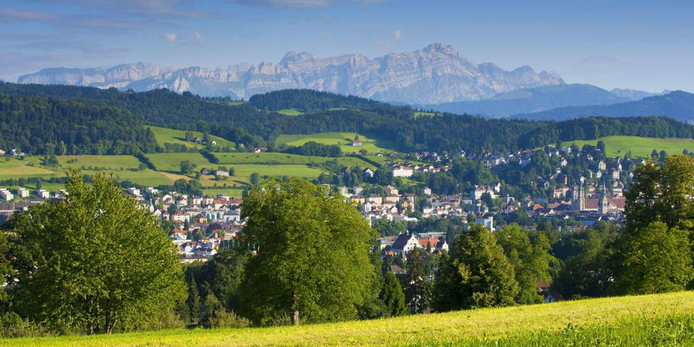 Im März entscheiden die St.Galler Stimmbürger über die Ausdehnung des Baumschutzes auf alle Bauzonen der Stadt