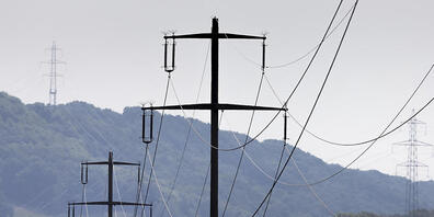 In den Gemeinden Tägerwilen TG und Gottlieben TG ist in der Nacht auf Montag der Strom ausgefallen. Der Stromunterbruch im Verteilnetz wurde durch einen Kurzschluss verursacht, wie der Alarmdienst Alert Swiss mitteilte. (Symbolbild)