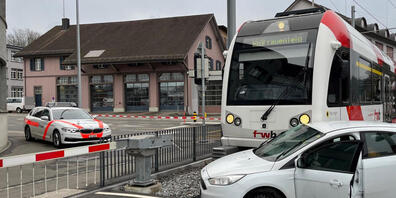 Der Autofahrer wurde beim Unfall mit dem Zug leicht verletzt.