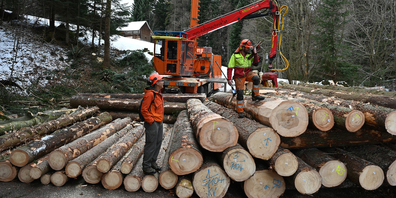 Förster Ruedi Müller (links) und Forstwart Melk Rutz von der Oberallmeindkorporation (OAK) vor dem Gebirgsharvester.