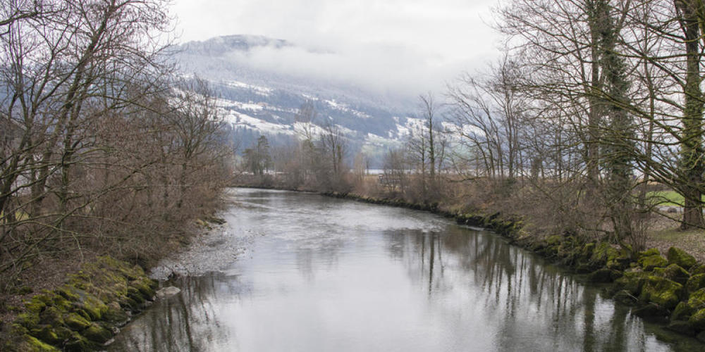 Das Gebiet der Muotamündung in Ingenbohl soll renaturiert werden.