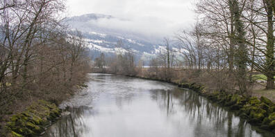 Das Gebiet der Muotamündung in Ingenbohl soll renaturiert werden.