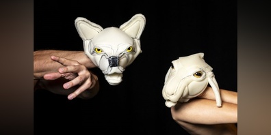Das Schaf rettet den Wolf.