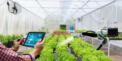 Die neue Studie der Standortförderung zeigt auf, welche Stärken, Schwächen und Chancen im Food Bereich im Kanton Zürich bestehen.