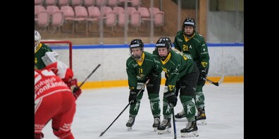 Die Thurgau Indien Ladies konzentriert in ihrem Spiel.