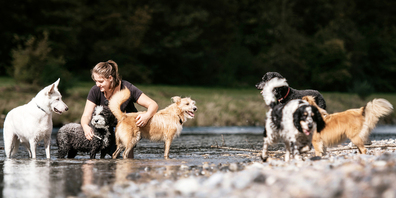 Angelina Rüeger gründete im Jahr 2020 die Hundebetreuungseinrichtung PFOTEN-REICH.