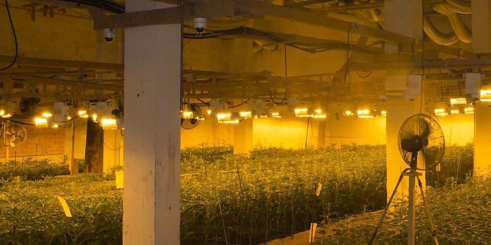 Diese Indoor-Hanfanlage entdeckte die Thurgauer Polizei im Industriegebiet von Bischofszell.
