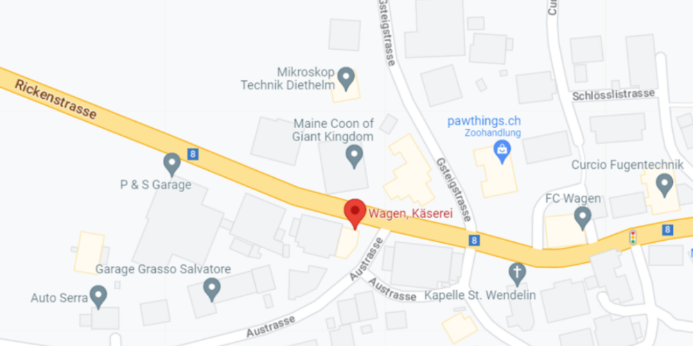 Die Bau- und Umweltkommission der Stadt unterstützt die Absicht, die Sicherheit des Fussgängerübergangs zu verbessern, lehnt aber das Projekt mit Fahrbahnhaltestelle ab.