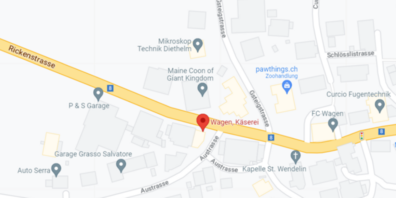 Die Bau- und Umweltkommission der Stadt unterstützt die Absicht, die Sicherheit des Fussgängerübergangs zu verbessern, lehnt aber das Projekt mit Fahrbahnhaltestelle ab.
