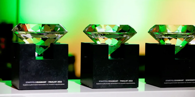 Planum Int. AG, Health Yourself AG und Siresca AG sind weiter auf Kurs zur Auszeichnung Startfeld Diamant. Via Communa, VirtualAlpha, ConcentrAid stehen im Finale für den Rohdiamant.