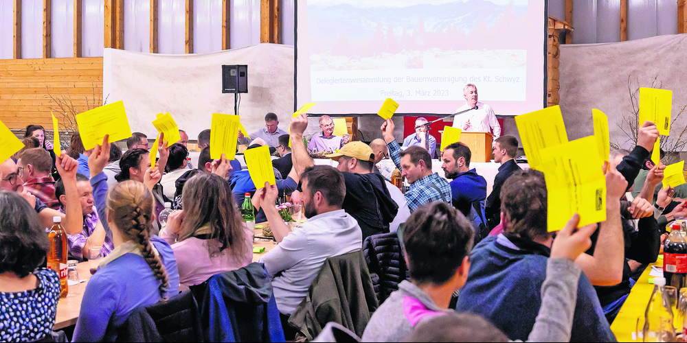 Abstimmung an der Delegiertenversammlung der BVSZ in Rothenthurm.