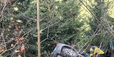 Das Auto des 72-Jährigen kam rund 75 Meter abseits der Strasse im dichten Gestrüpp zum Stillstand.