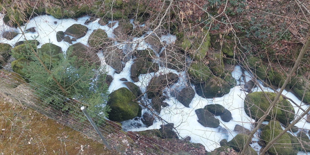 Der Sarbach ist mit Milch verschmutz worden.