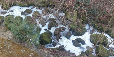 Der Sarbach ist mit Milch verschmutz worden.