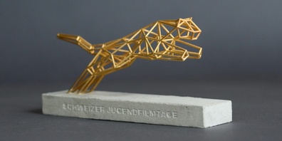 An den 47. Schweizer Jugendfilmtagen messen sich Talente des Schweizer Filmnachwuchses in 5 Wettbewerbskategorien.