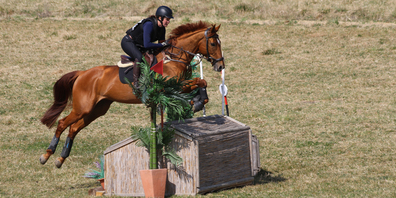 Für den Concours Complet auf dem Mattenhof in Schleitheim sind knapp 100 Pferde gemeldet.