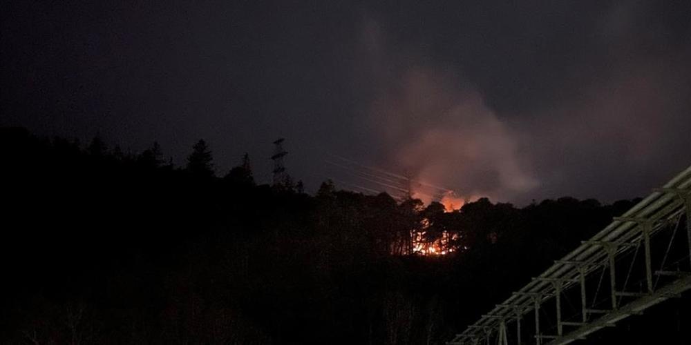 Ob der Marder nicht nur den Waldbrand in Domat/Ems, sondern auch die Stromausfälle in der Region zu verantworten hat, wird zur Zeit abgeklärt.