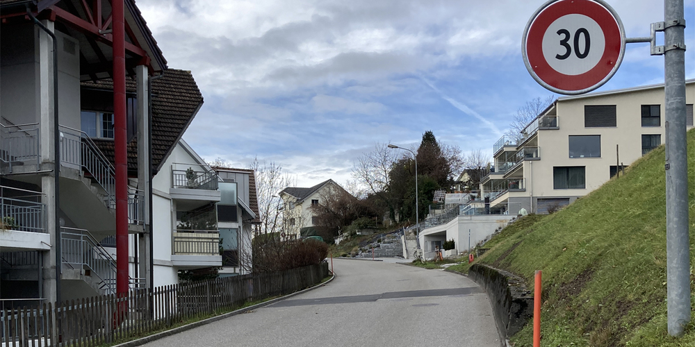 Tempo-30-Schild an der Kreuzung Rickenstrasse/Bürgstrasse in Neuhaus in Richtung Bürg. (Archivbild)