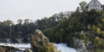 Der Kanton Zürich will das Schloss laufen für rund 50 Millionen Franken umbauen. Der Zugang zum Rheinfall soll aber auch während der Bauarbeiten möglich sein. (Archivbild)