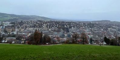Blick auf die Stadt vom Berneggwald