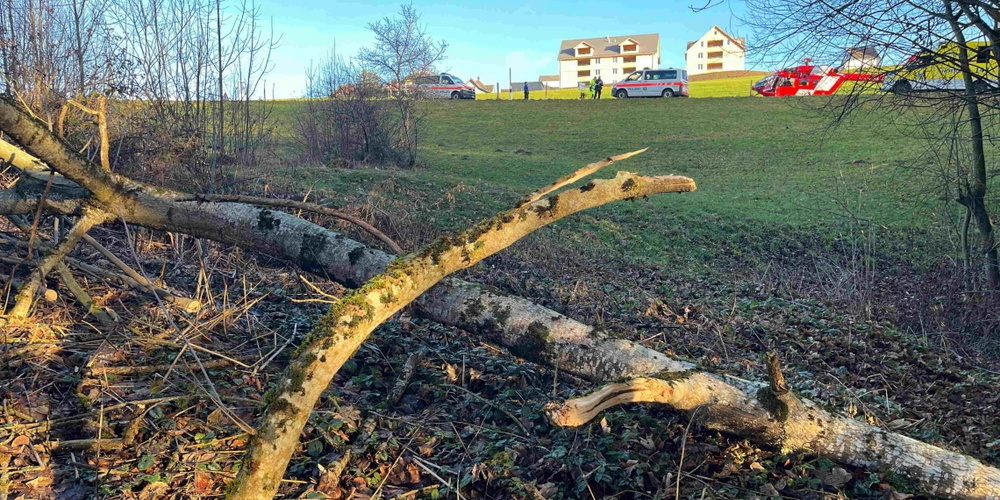 Ein 46-jähriger Mann wurde durch seinen Kollegen nach dem Fällen eines Baums verletzt aufgefunden. Der genaue Unfallhergang ist unklar. Der Verletzte musste von der Rega ins Spital geflogen werden.