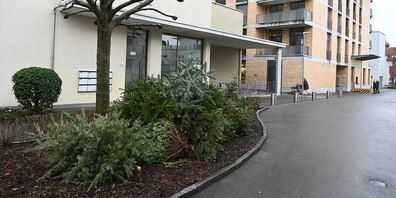 Der Platz für ausgediente Christbäume beim Obersee Center in Lachen ist schon Ende letzter Woche bezeichnet und genutzt worden.