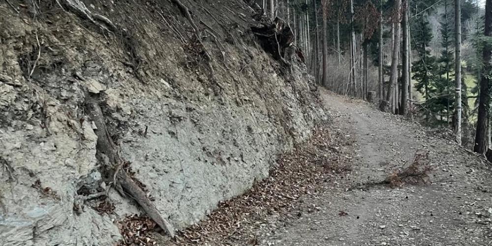 Auf diesem Waldweg in Chur fand eine Person am Mittwoch einen verletzten Wanderer.