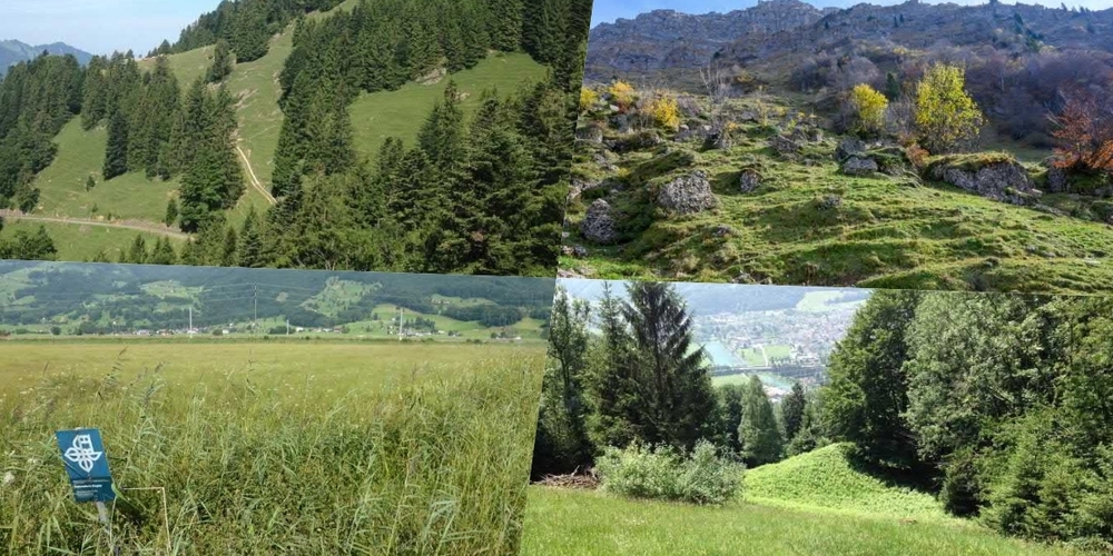 Vier der neu angepassten Schänner Schutzobjekte: Schwante (l.o.), Turbenloch (Gastermatt, l.u.), Hinterwängi (r.o.),  Trempenberg.