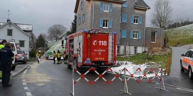 Die Feuerwehr konnte den ausgelaufenen Treibstoff auf der Strasse binden.